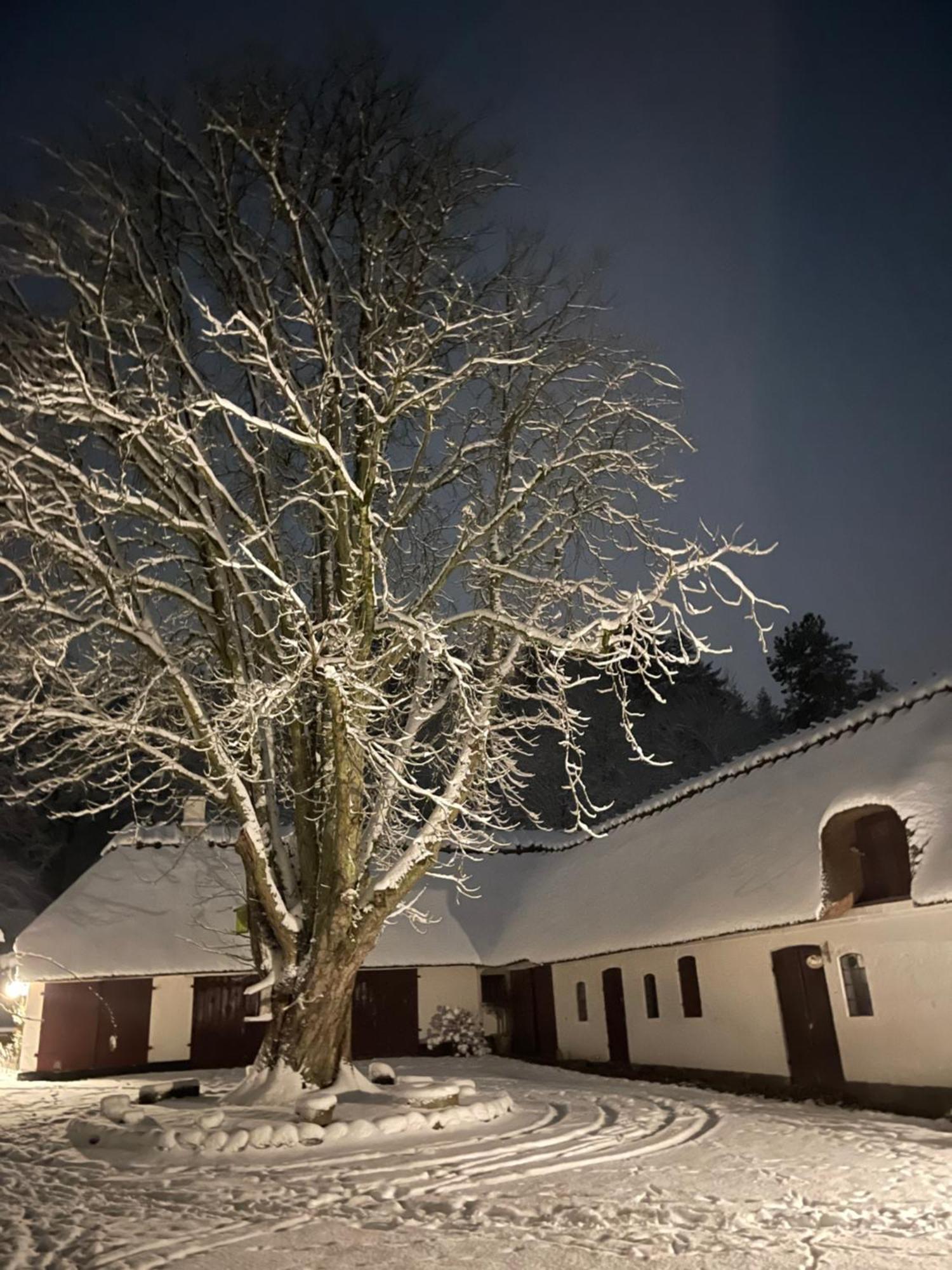 Lillemollens Bed & Breakfast Orbaek  Exterior foto